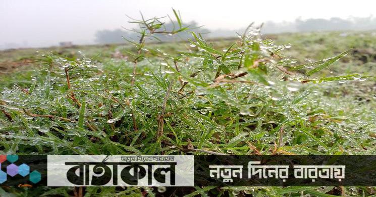 মধ্য নভেম্বরে নামবে শীত, ডিসেম্বরে শৈত্য প্রবাহ