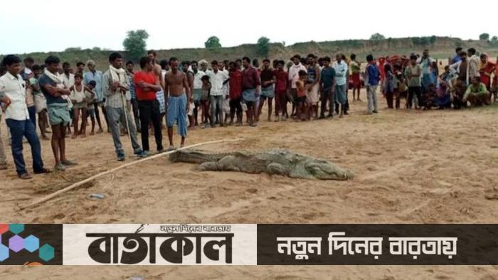 নদীতে গোসল করতে নেমে কুমিরের পেটে আট বছরের শিশু!