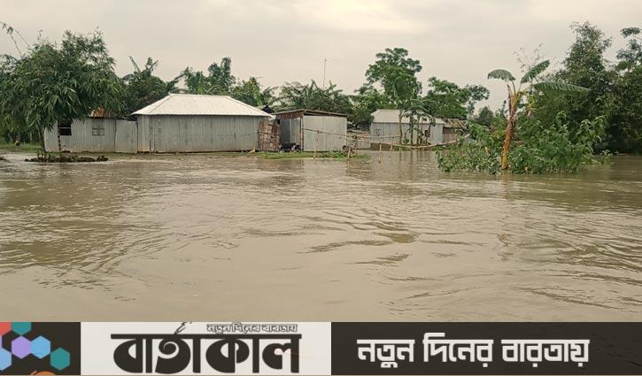 তিস্তাপাড়ে ফের বন্যা, পানিবন্দি ১৫ হাজার মানুষ