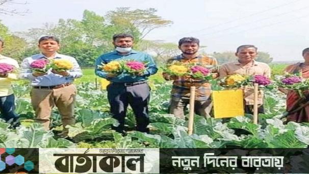 এবার শীতে পাওয়া যাবে বাহারী রঙের ফুল কপি