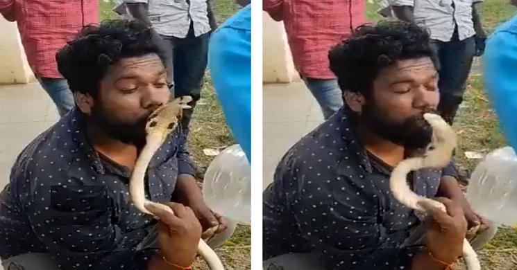 সাপকে চুমু খেতে গিয়ে বিষাক্ত ছোবল খেলেন যুবক