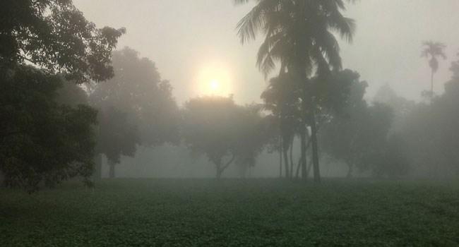 শরৎকালে ঘন কুয়াশা পঞ্চগড়ে, শীতের আগমনী বার্তা