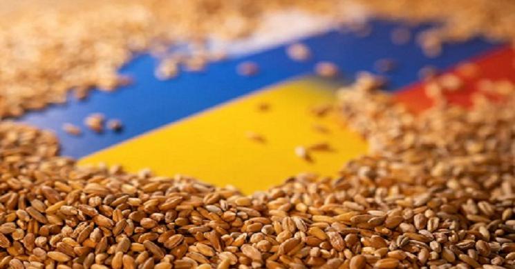 ফের ইউক্রেনে শস্য রপ্তানি অচলের পথে, বাড়ছে উদ্বেগ