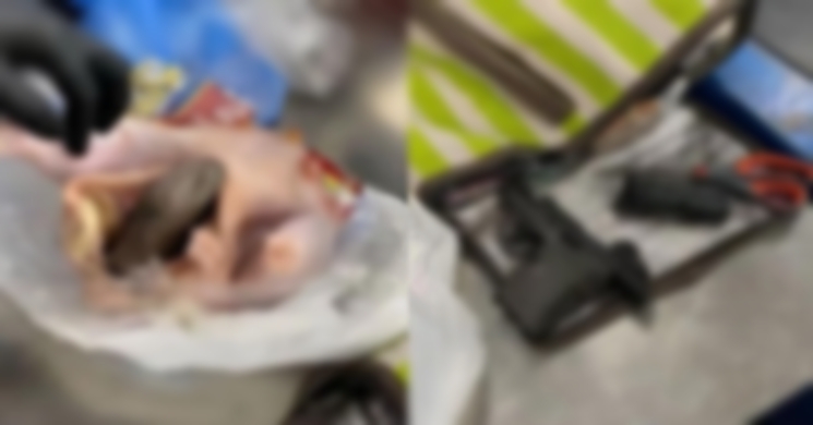 বিমানবন্দরে মুরগির পেটে পিস্তল!