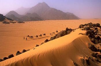 সাহারা মরুভূমিতে তৃষ্ণায় ২৭ অভিবাসন প্রত্যাশীর মৃত্যু