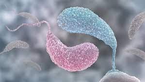 যুক্তরাজ্যে ব্যাকটেরিয়ার সংক্রমণে ৩০ শিশুর মৃত্যু