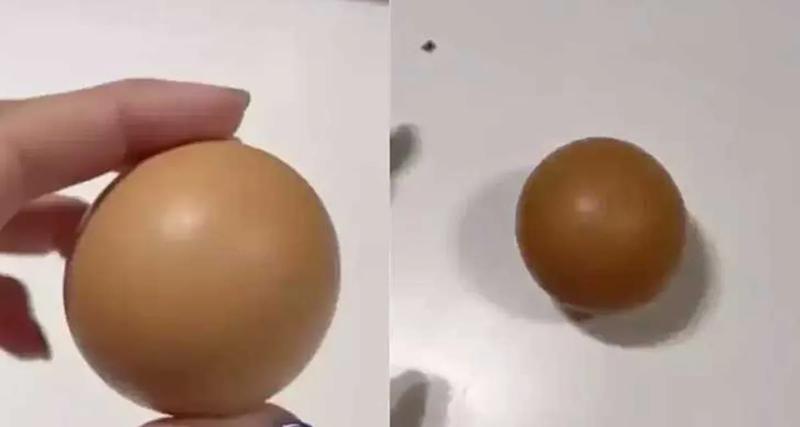 দেড় লাখ টাকায় বিক্রি হলো এক ডিম!