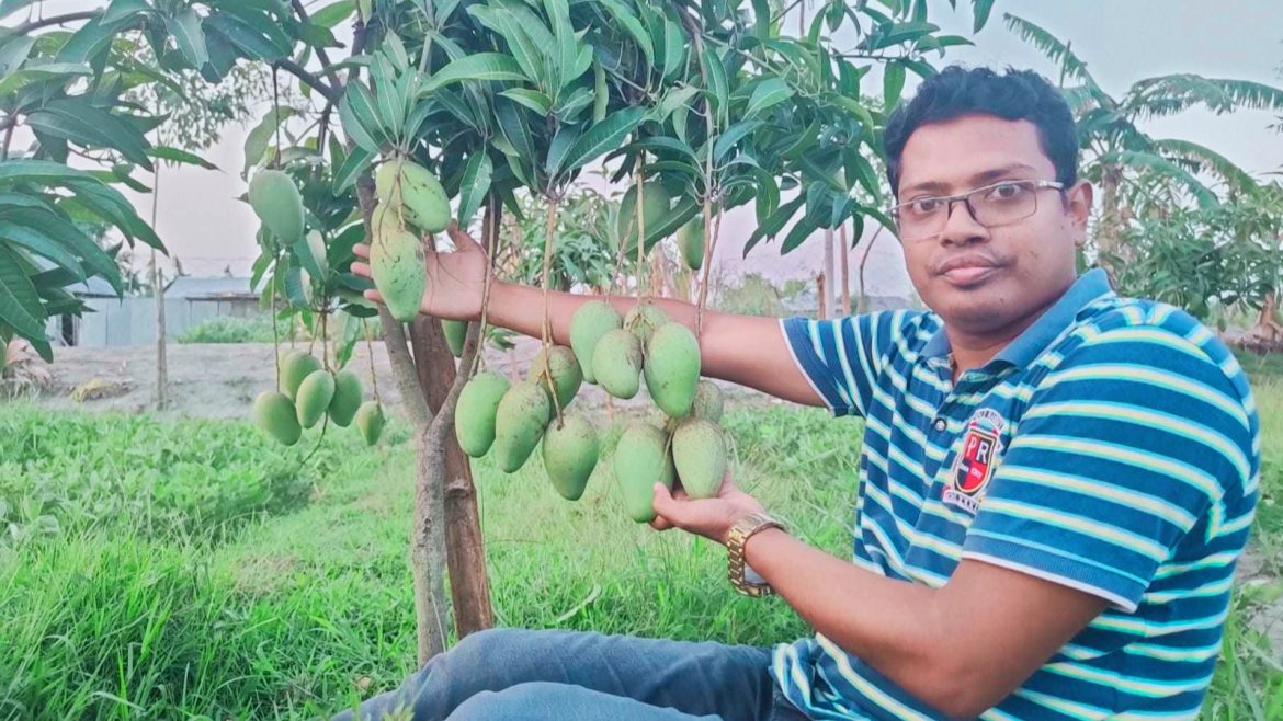 বালুচরে ফল চাষে সফল রিপন, বছরে আয় ৮ লাখ টাকা
