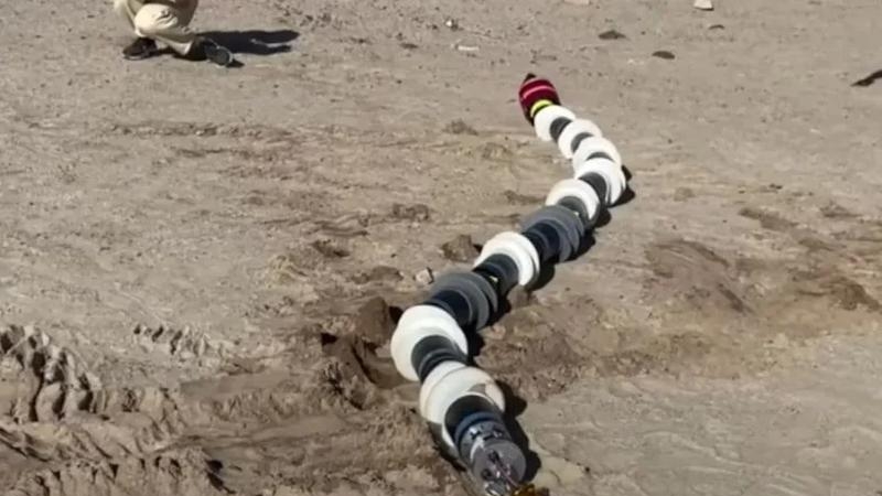 রোবটের সাপ