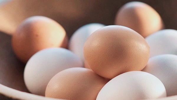 পাকিস্তানে এক ডজন ডিমের দাম ৪০০ রুপি